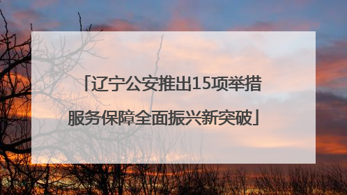 辽宁公安推出15项举措服务保障全面振兴新突破